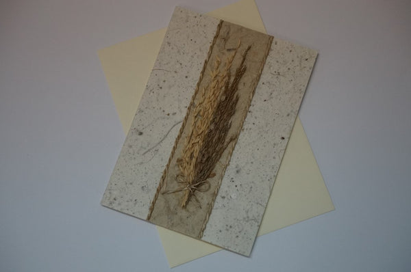 Wheat Center Dried Flower Fancy