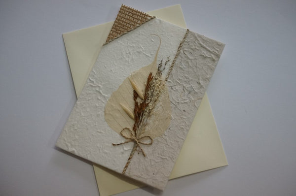 Wheat Leaf Dried Flower Fancy