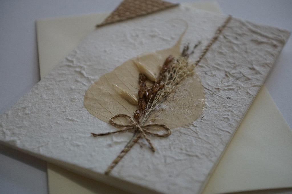 Wheat Leaf Dried Flower Close Up