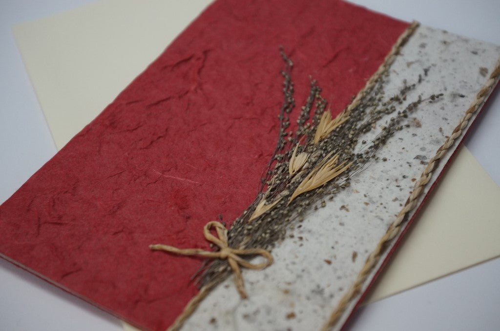 Red Wheat and Two Cords Close Up