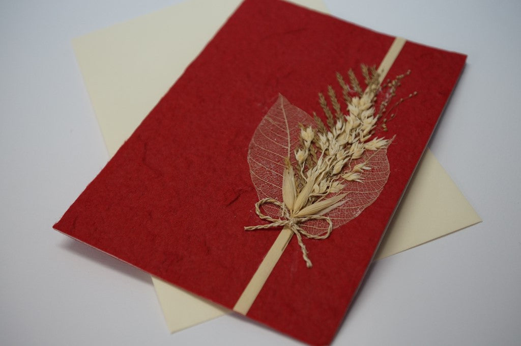 Two Leaves and Wheat Close Up
