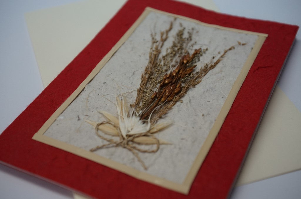 Red Wheat Flower Bouquet Close Up