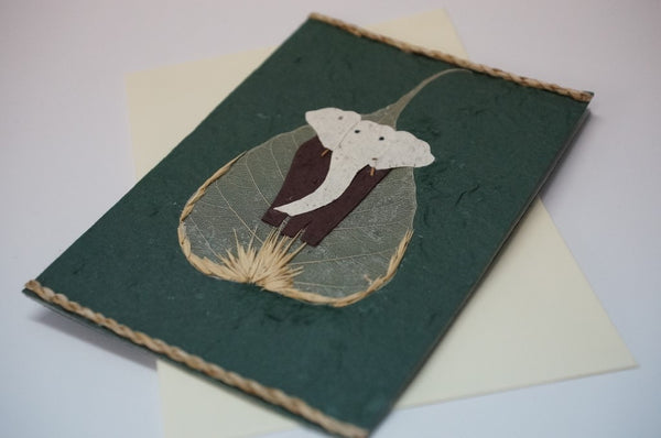 Elephant Leaf Green Close Up