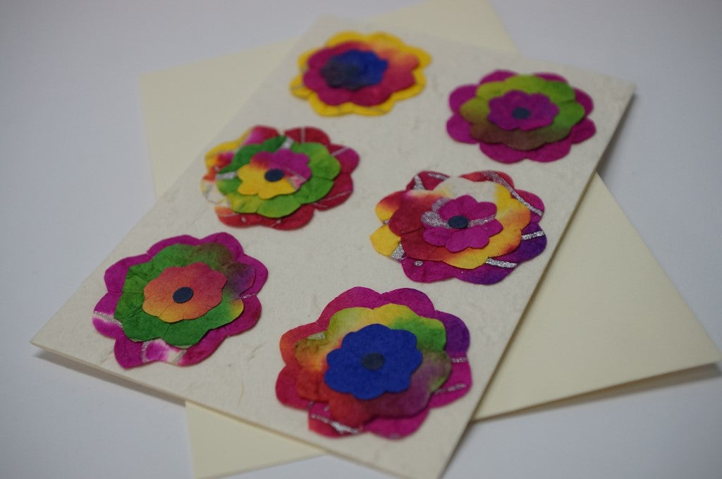 Six Multi Color Flowers Close Up