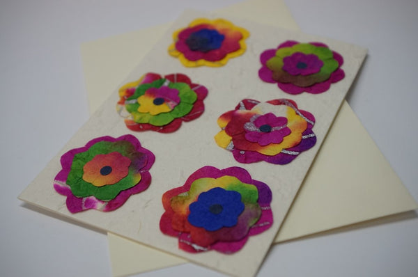 Six Multi Color Flowers Close Up