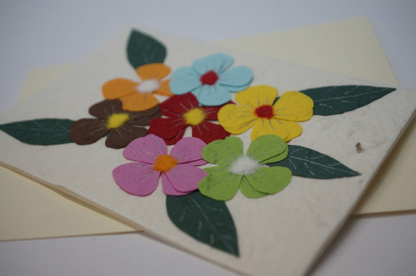 Four Leaf Clovers Close Up